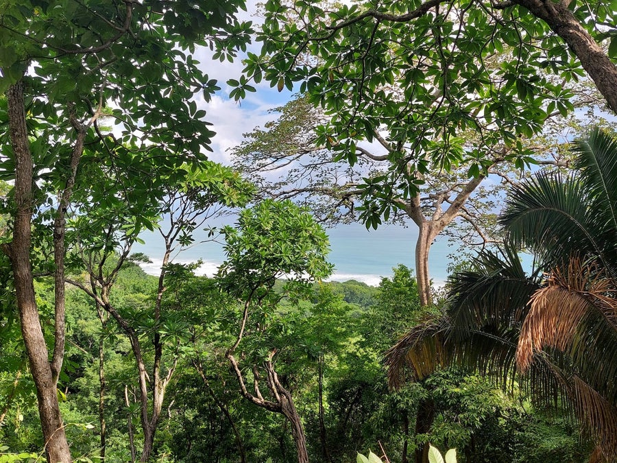 Property photo for Georgeous Ocean View Lot Northern Santa Teresa, Santa Teresa, Cobano, Puntarenas, Puntarenas, Costa Rica