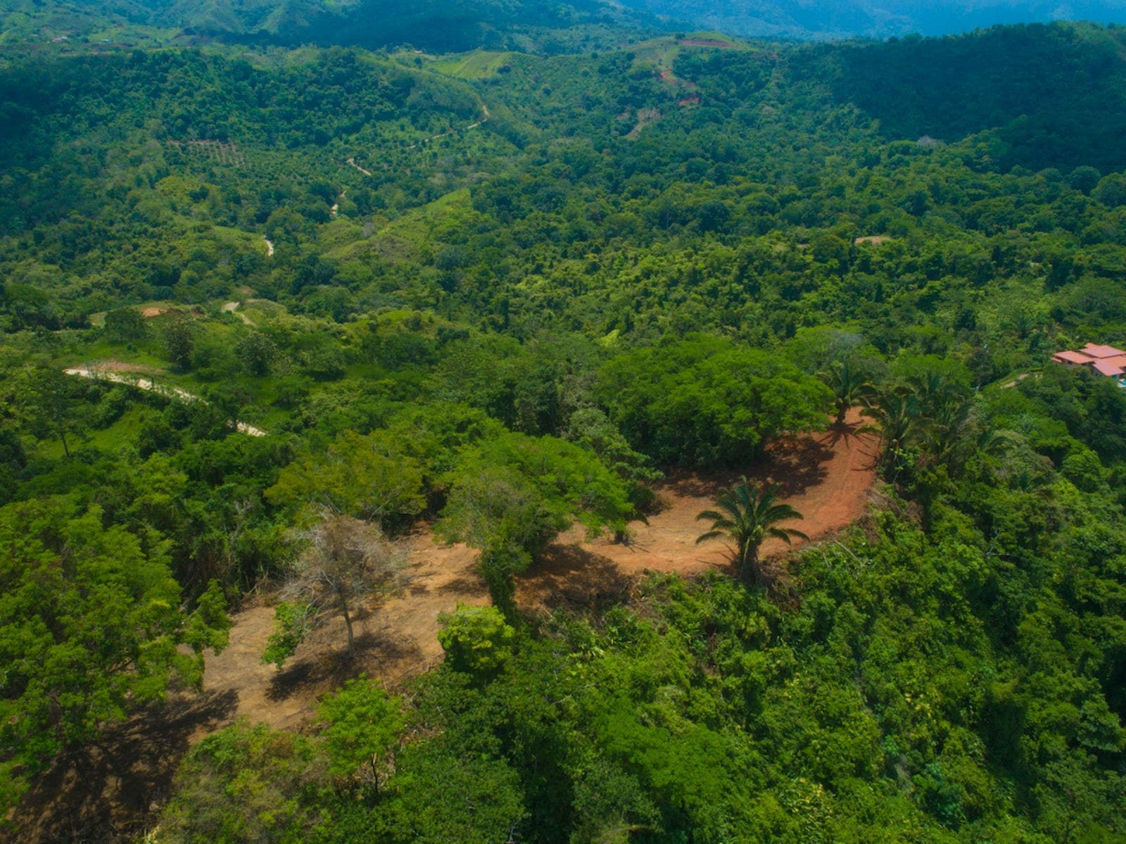 119.7 Acres of Versatile Ridgetop with Ocean Views — photo 14 of 14