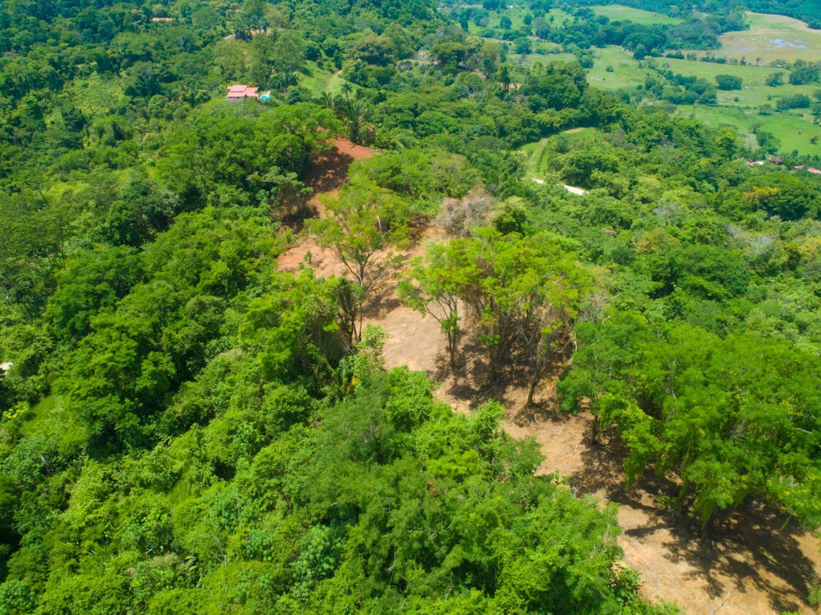 119.7 Acres of Versatile Ridgetop with Ocean Views — photo 3 of 14