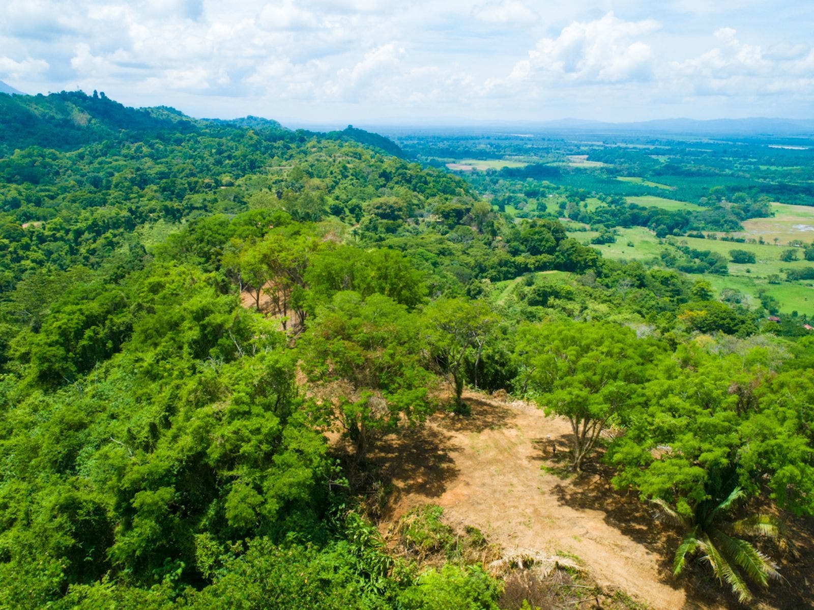119.7 Acres of Versatile Ridgetop with Ocean Views — photo 6 of 14