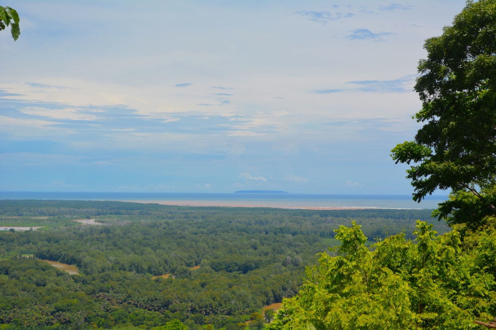 119.7 Acres of Versatile Ridgetop with Ocean Views — photo 5 of 14