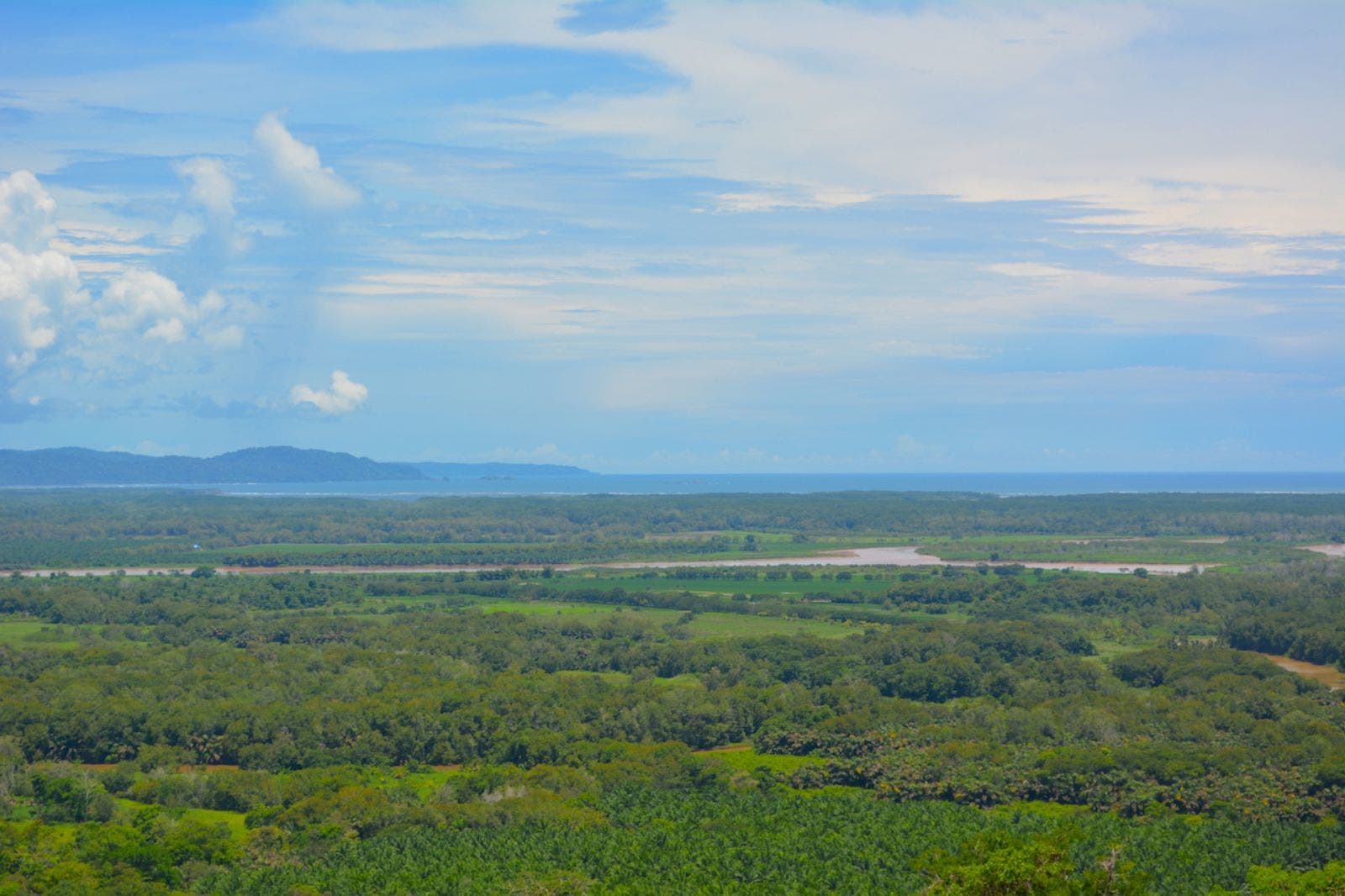 119.7 Acres of Versatile Ridgetop with Ocean Views — photo 11 of 14
