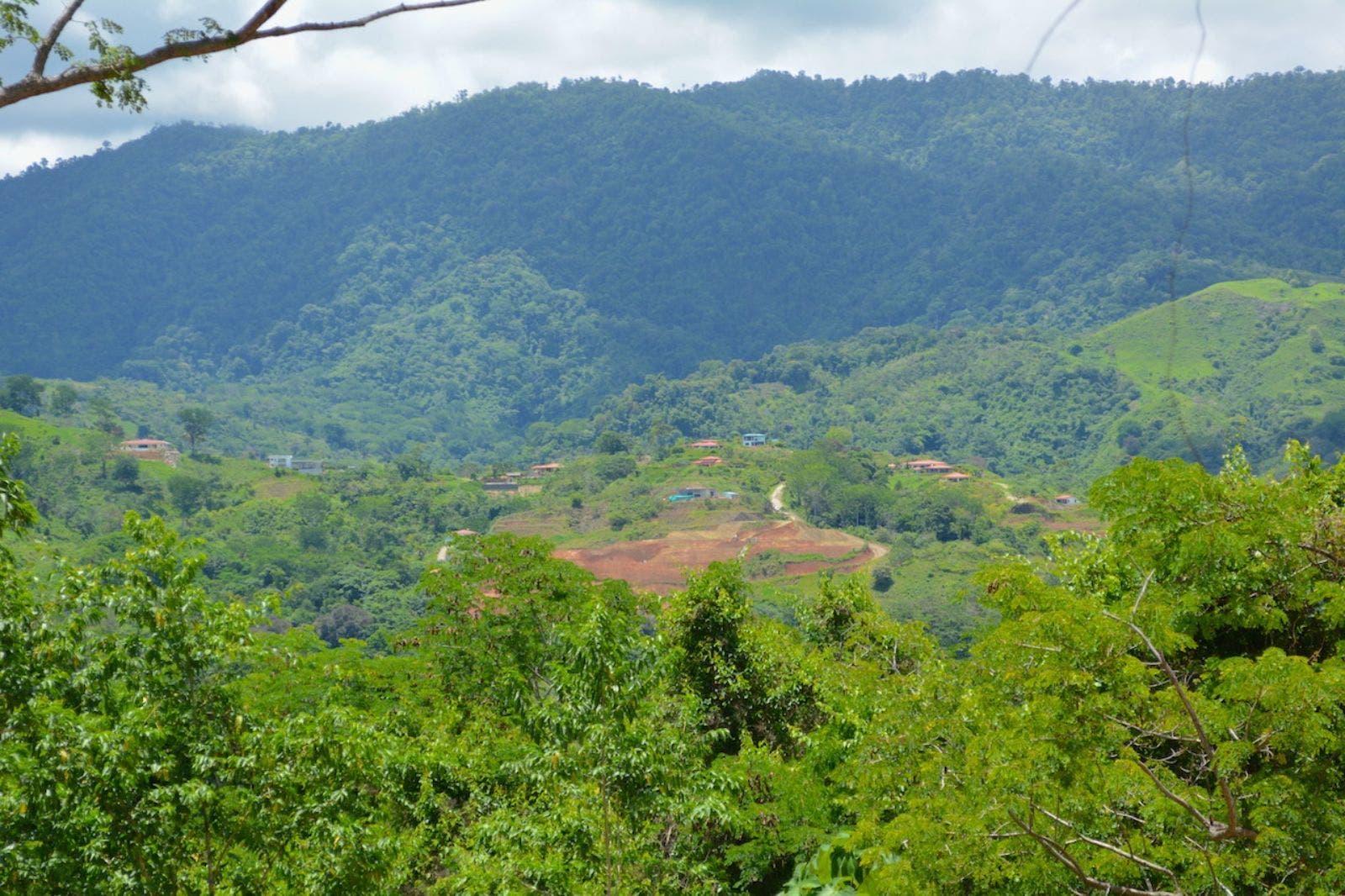 119.7 Acres of Versatile Ridgetop with Ocean Views — photo 4 of 14