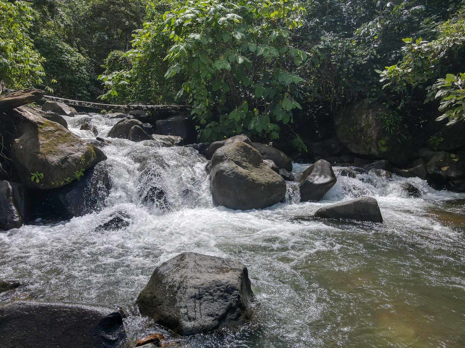 Las Tumbas Diamante Valley, Tinamastes, Perez Zeledon, San Jose, Costa Rica