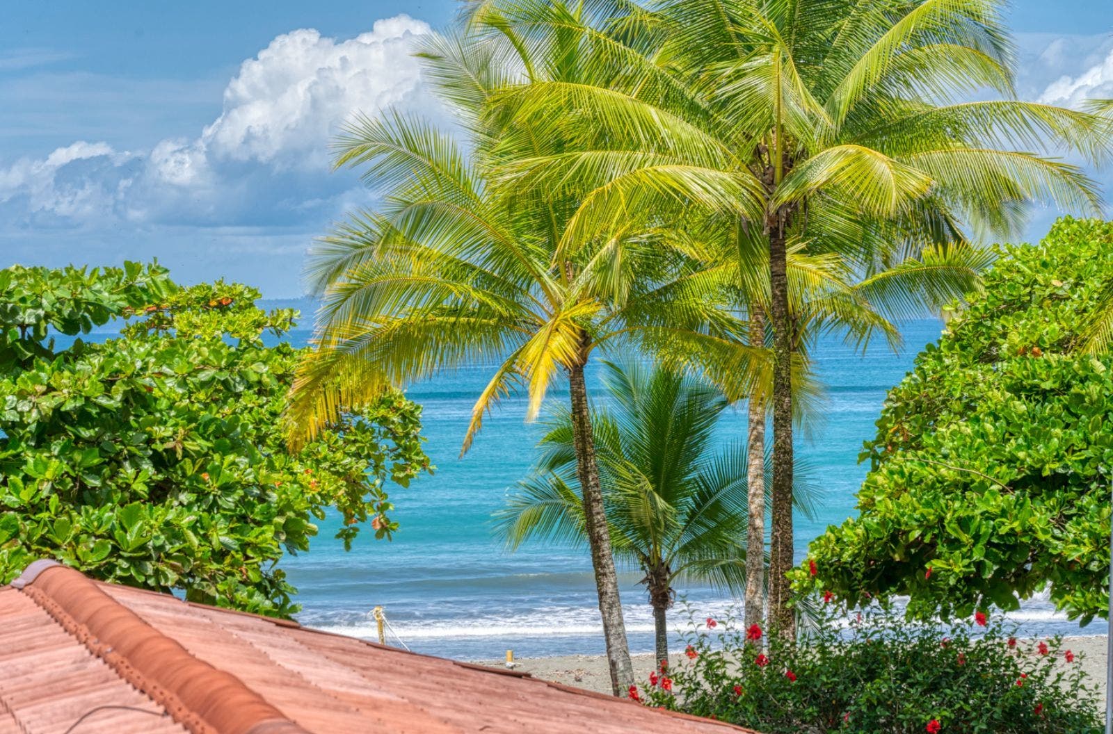 Sustainable Ocean Front Beach Resort — photo 12 of 19