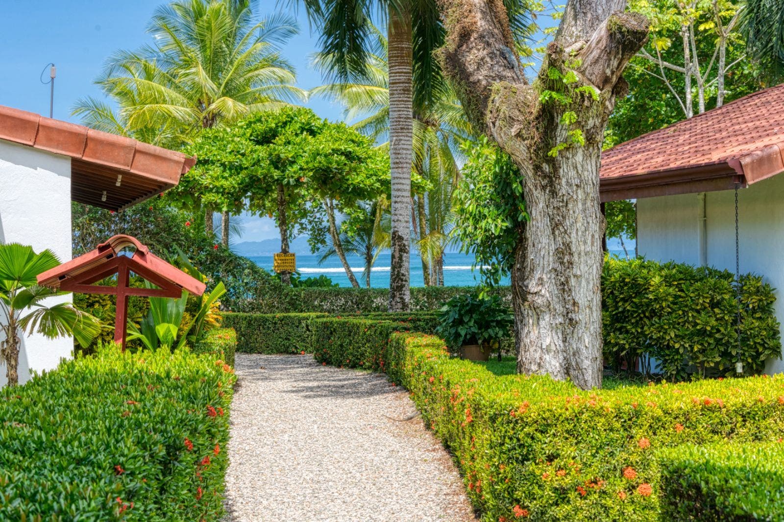 Sustainable Ocean Front Beach Resort — photo 16 of 19