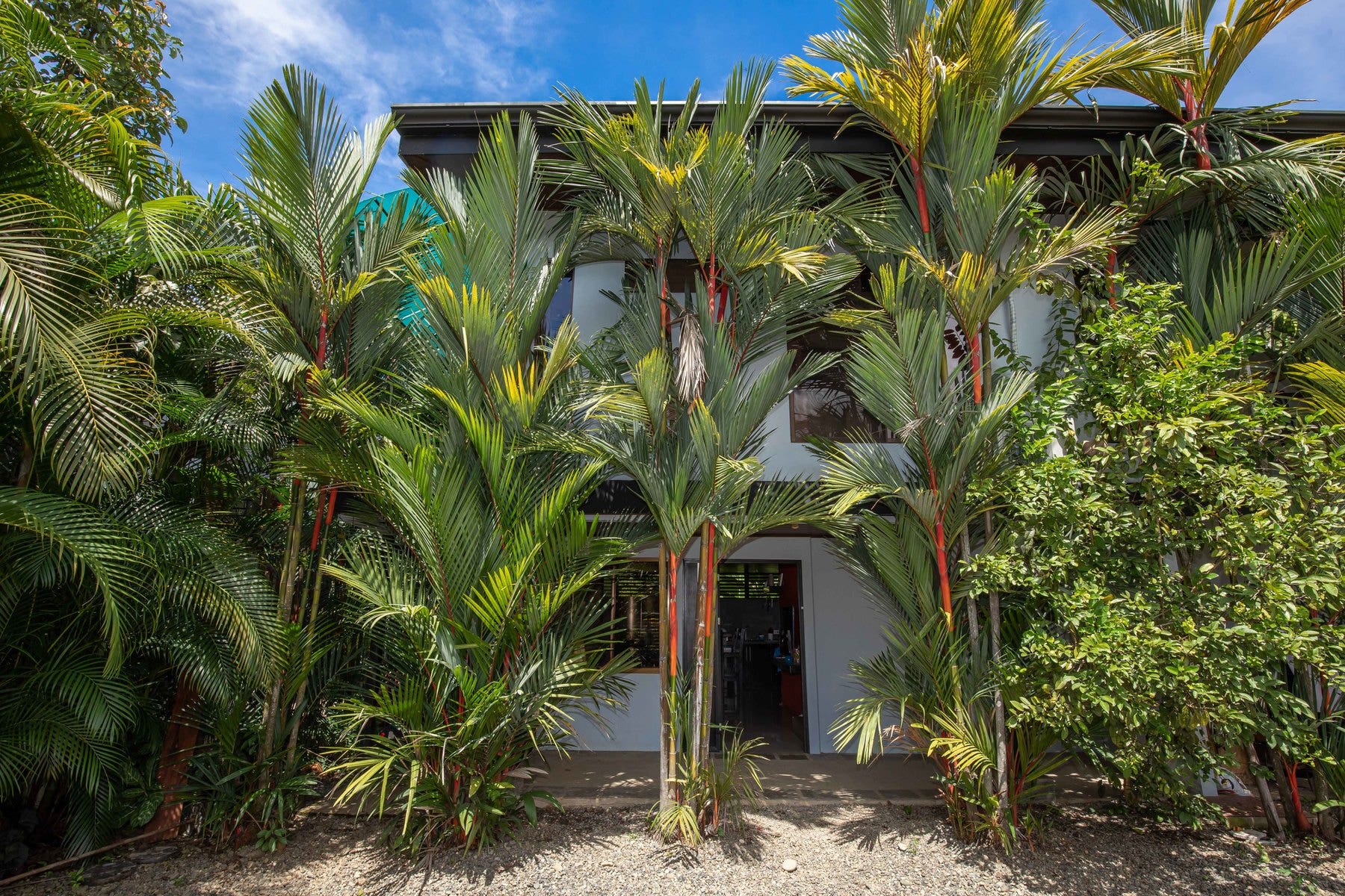 Unique Nine Unit Income Producing Hotel, Uvita, Dominical, Bahia Ballena, Osa, Puntarenas, Costa Rica 60504