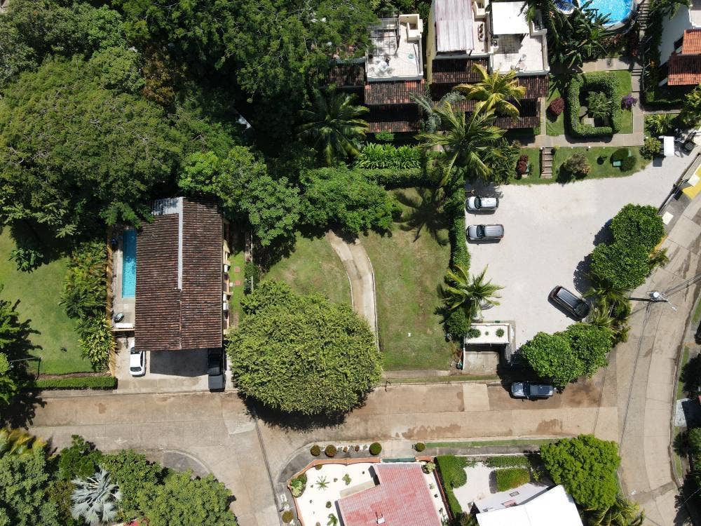 Estate Lot in the Palms — photo 3 of 12