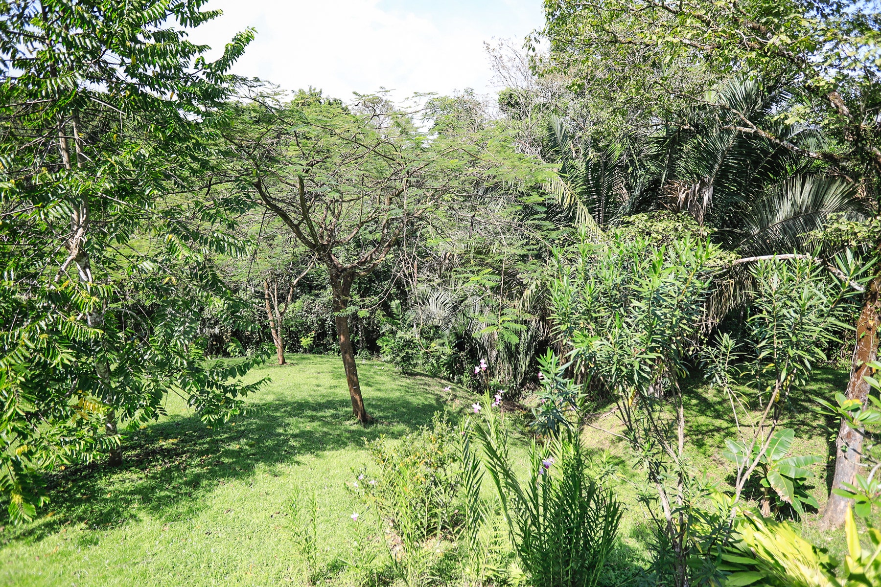 Beautiful One and a Half Hectare Lot with Home in Hacienda Okhra , Hacienda Okhra, Santa Teresa, Cobano, Puntarenas, Puntarenas, Costa Rica 60111 Beautiful One and a Half Hectare Lot with Home in Hacienda Okhra , Hacienda Okhra, Santa Teresa, Cobano, Puntarenas, Puntarenas, Costa Rica 60111