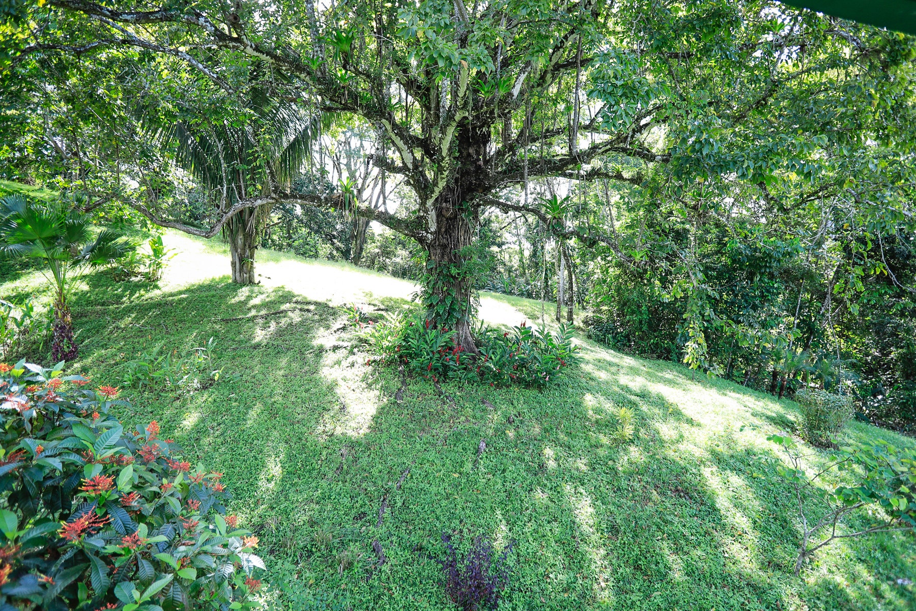 Beautiful One and a Half Hectare Lot with Home in Hacienda Okhra , Hacienda Okhra, Santa Teresa, Cobano, Puntarenas, Puntarenas, Costa Rica 60111 Beautiful One and a Half Hectare Lot with Home in Hacienda Okhra , Hacienda Okhra, Santa Teresa, Cobano, Puntarenas, Puntarenas, Costa Rica 60111
