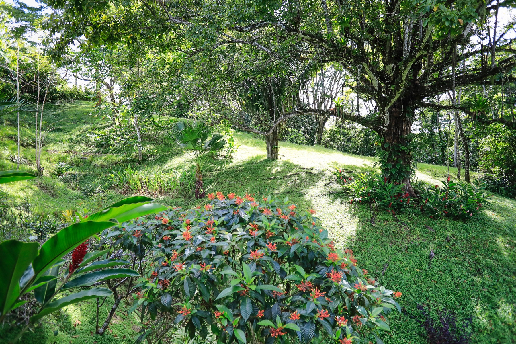Beautiful One and a Half Hectare Lot with Home in Hacienda Okhra , Hacienda Okhra, Santa Teresa, Cobano, Puntarenas, Puntarenas, Costa Rica 60111 Beautiful One and a Half Hectare Lot with Home in Hacienda Okhra , Hacienda Okhra, Santa Teresa, Cobano, Puntarenas, Puntarenas, Costa Rica 60111