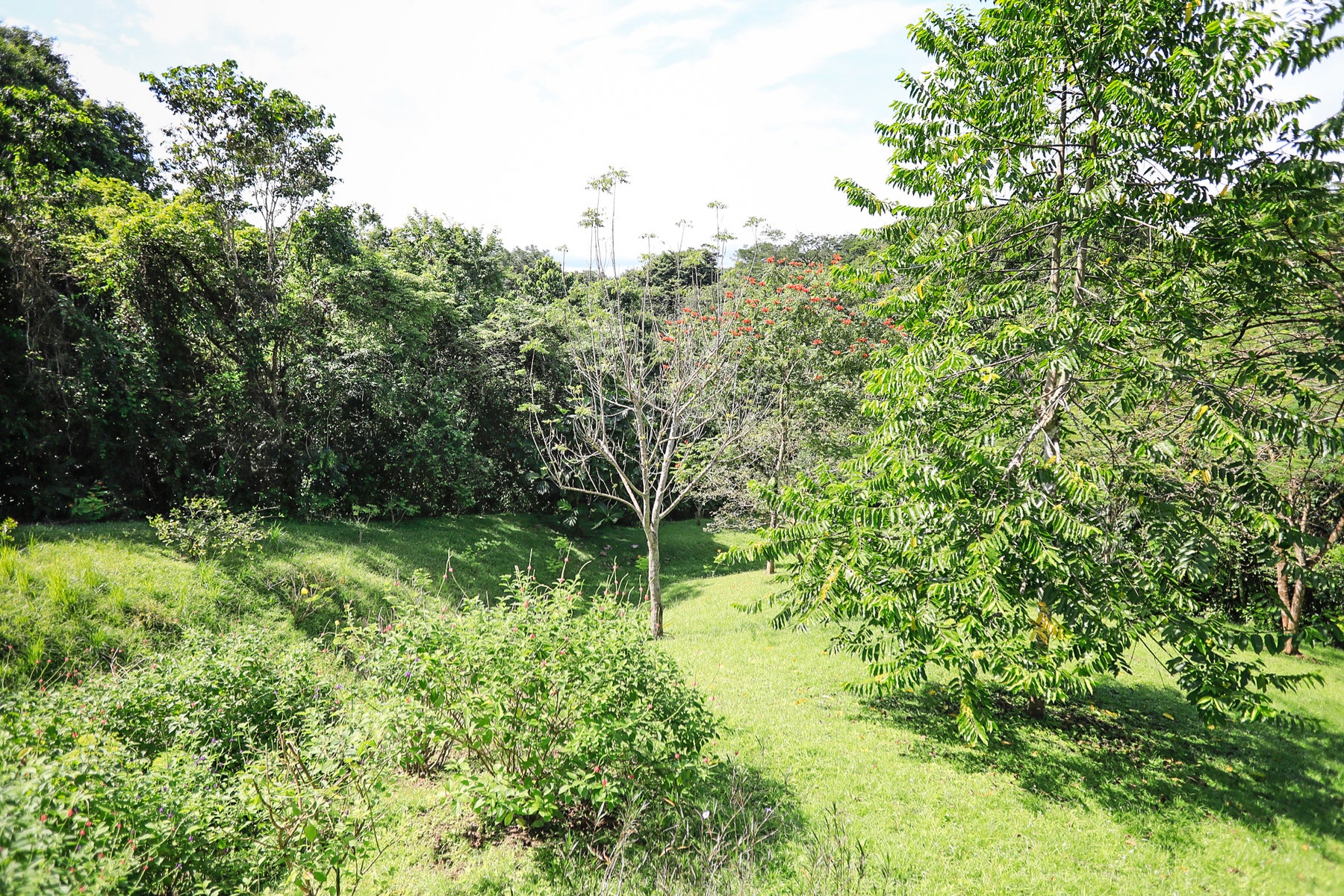 Beautiful One and a Half Hectare Lot with Home in Hacienda Okhra , Hacienda Okhra, Santa Teresa, Cobano, Puntarenas, Puntarenas, Costa Rica 60111 Beautiful One and a Half Hectare Lot with Home in Hacienda Okhra , Hacienda Okhra, Santa Teresa, Cobano, Puntarenas, Puntarenas, Costa Rica 60111