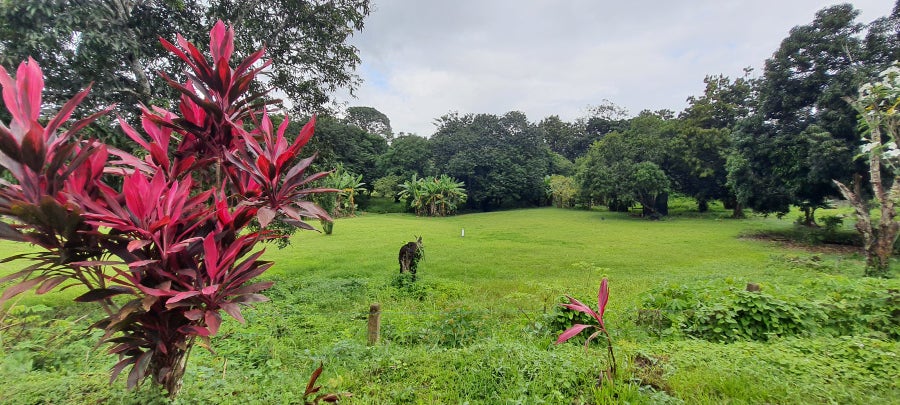 Property photo for Quebrada Ganado Residential Development Lot 5 Minutes to the Beach, Jaco, Jaco, Quebrada Ganado, Garabito, Puntarenas, Costa Rica