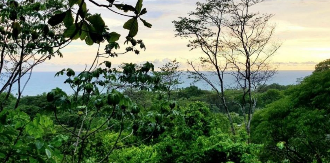 Development Property in Playa Hermosa with Sunset Ocean Views — photo 3 of 5