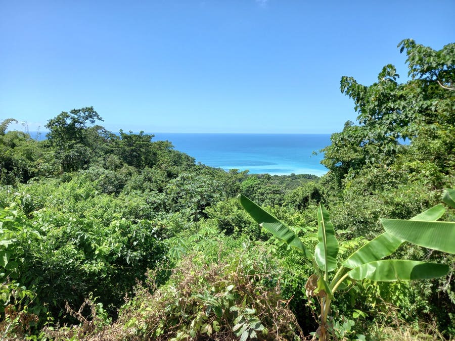 Property photo for Large Ocean View Property in Mal Pais, Mal Pais, Santa Teresa, Cobano, Puntarenas, Puntarenas, Costa Rica