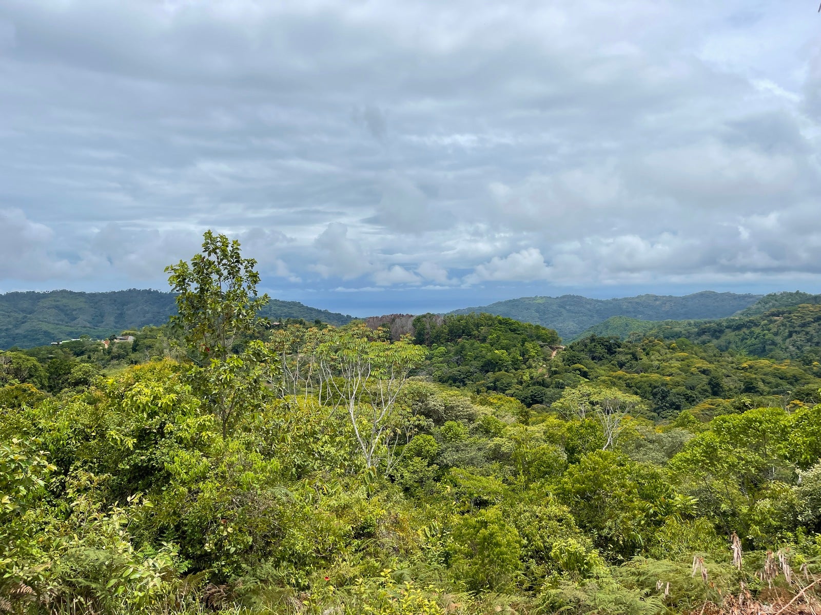 Ocean View Acreage with Easy Access and Multiple Building Sites — photo 2 of 11