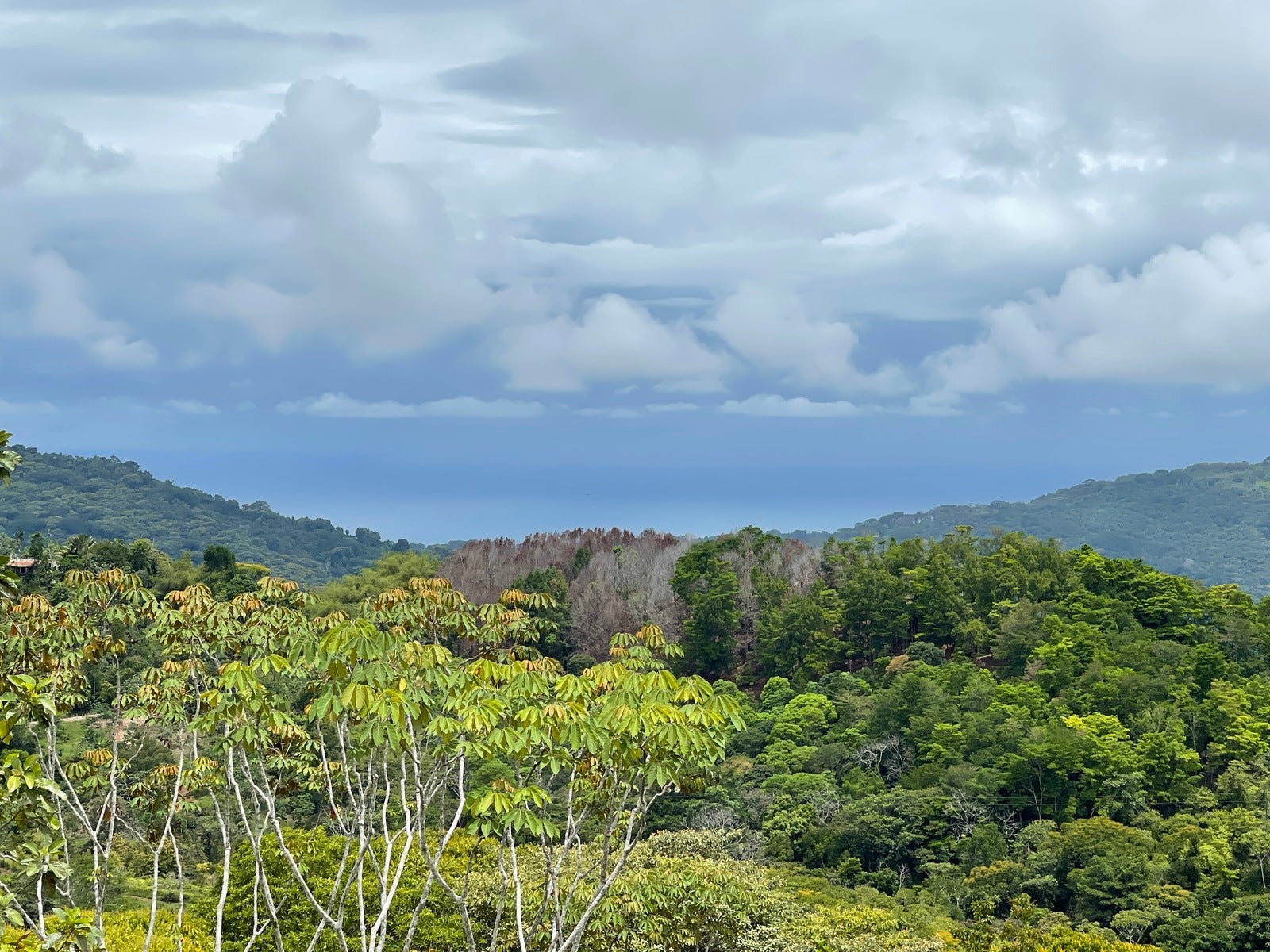 Ocean View Acreage with Easy Access and Multiple Building Sites, Platanillo, Dominical, Baru, Osa, Puntarenas, Costa Rica 11909