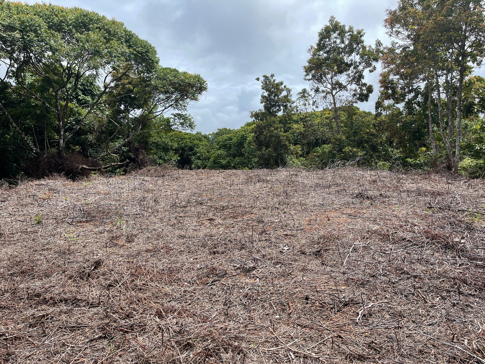 Ocean View Acreage with Easy Access and Multiple Building Sites — photo 10 of 11