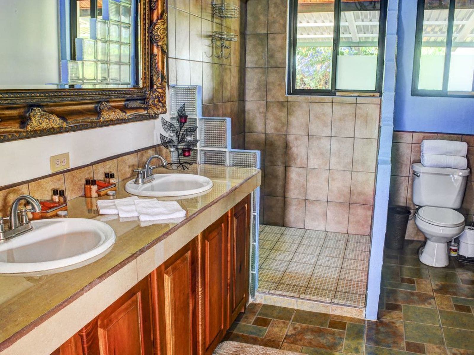 Unique Home and Land in Platanillo — photo 11 of 19