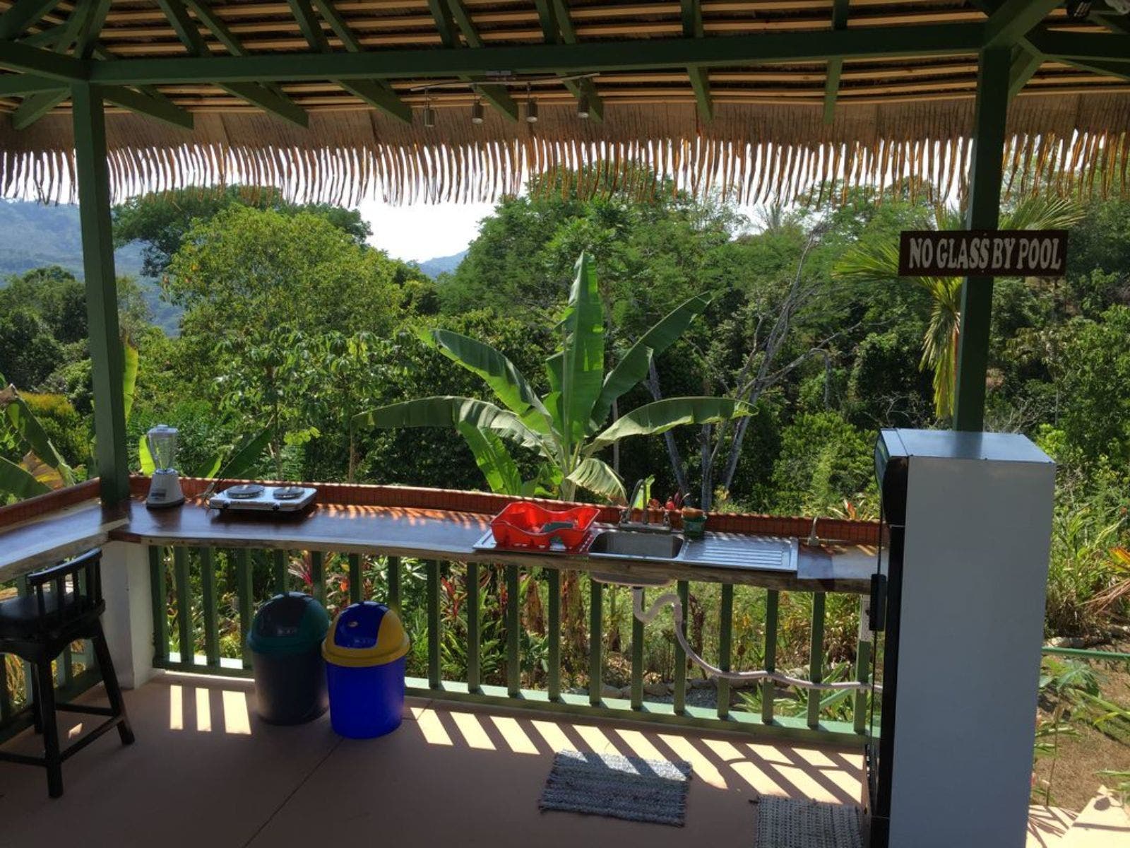 Unique Home and Land in Platanillo — photo 17 of 19