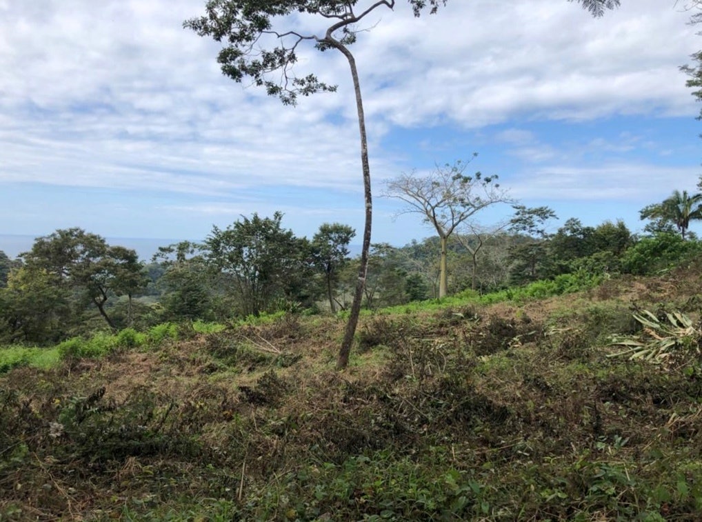 Ocean View Lot in Hacienda Okhra For Sale , Hacienda Okhra, Santa Teresa, Cobano, Puntarenas, Puntarenas, Costa Rica 60111 Ocean View Lot in Hacienda Okhra For Sale , Hacienda Okhra, Santa Teresa, Cobano, Puntarenas, Puntarenas, Costa Rica 60111