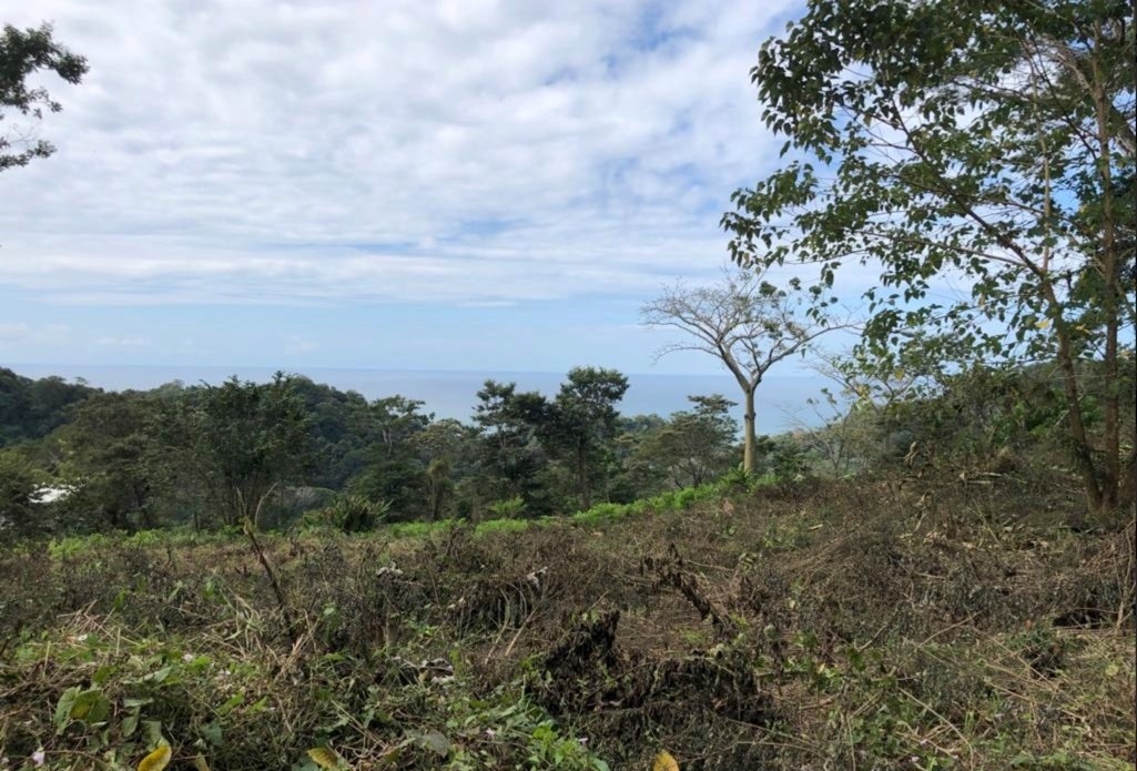 Ocean View Lot in Hacienda Okhra For Sale , Hacienda Okhra, Santa Teresa, Cobano, Puntarenas, Puntarenas, Costa Rica 60111 Ocean View Lot in Hacienda Okhra For Sale , Hacienda Okhra, Santa Teresa, Cobano, Puntarenas, Puntarenas, Costa Rica 60111