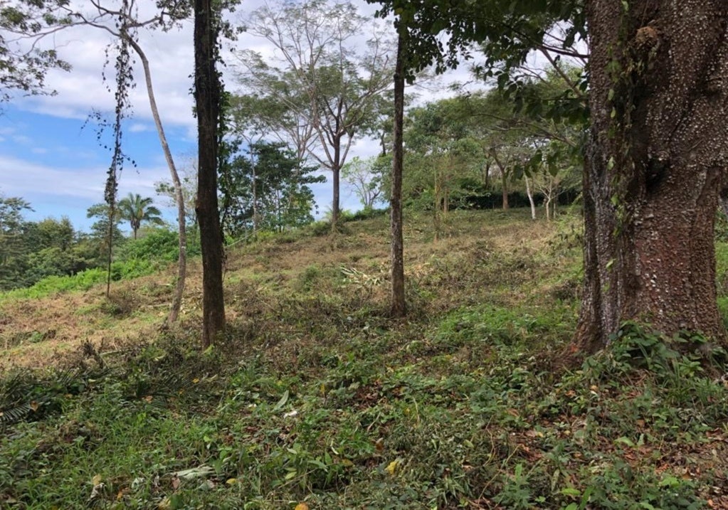 Ocean View Lot in Hacienda Okhra For Sale , Hacienda Okhra, Santa Teresa, Cobano, Puntarenas, Puntarenas, Costa Rica 60111 Ocean View Lot in Hacienda Okhra For Sale , Hacienda Okhra, Santa Teresa, Cobano, Puntarenas, Puntarenas, Costa Rica 60111