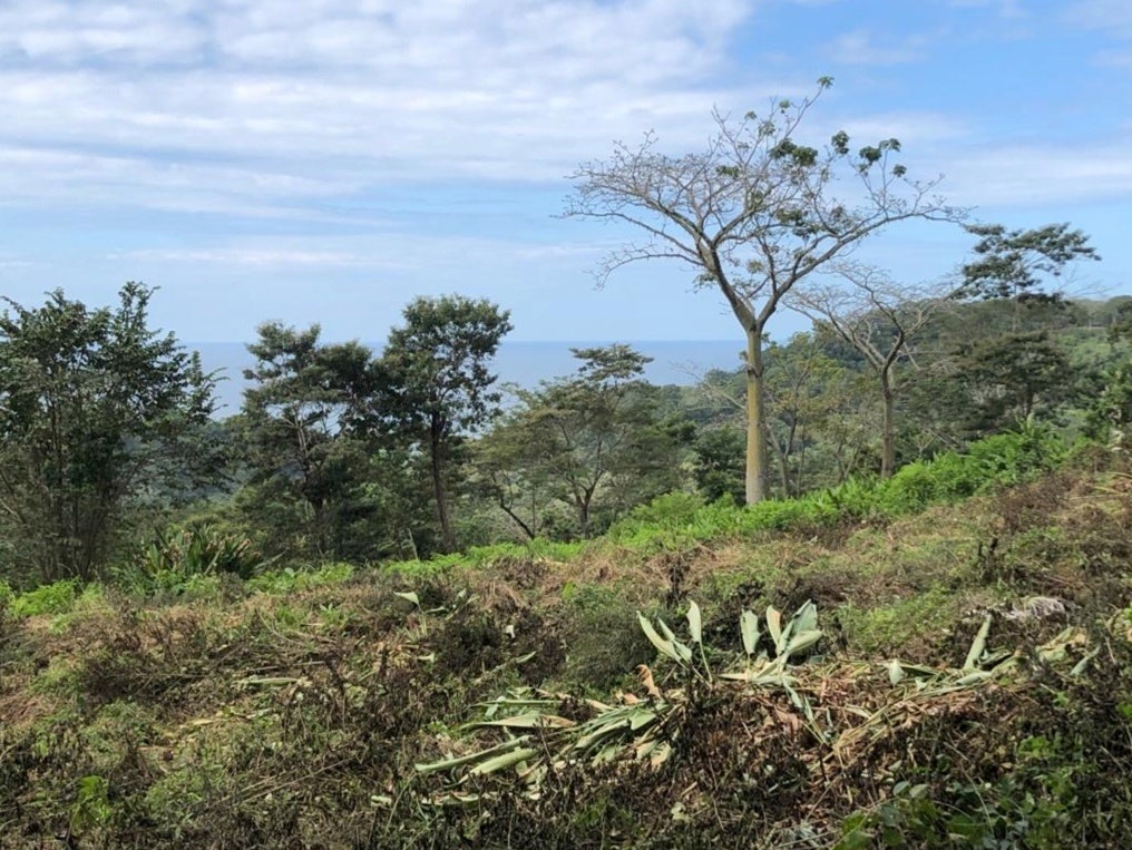 Ocean View Lot in Hacienda Okhra For Sale , Hacienda Okhra, Santa Teresa, Cobano, Puntarenas, Puntarenas, Costa Rica 60111 Ocean View Lot in Hacienda Okhra For Sale , Hacienda Okhra, Santa Teresa, Cobano, Puntarenas, Puntarenas, Costa Rica 60111