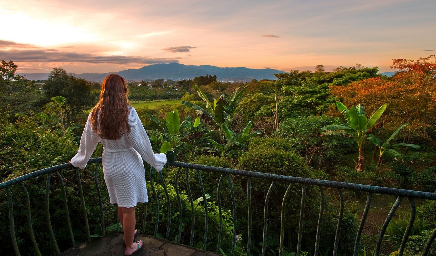 Finca Rosa Blanca Coffee Farm and Inn, Heredia, Barrio Jesus, Santa Barbara, Heredia, Costa Rica