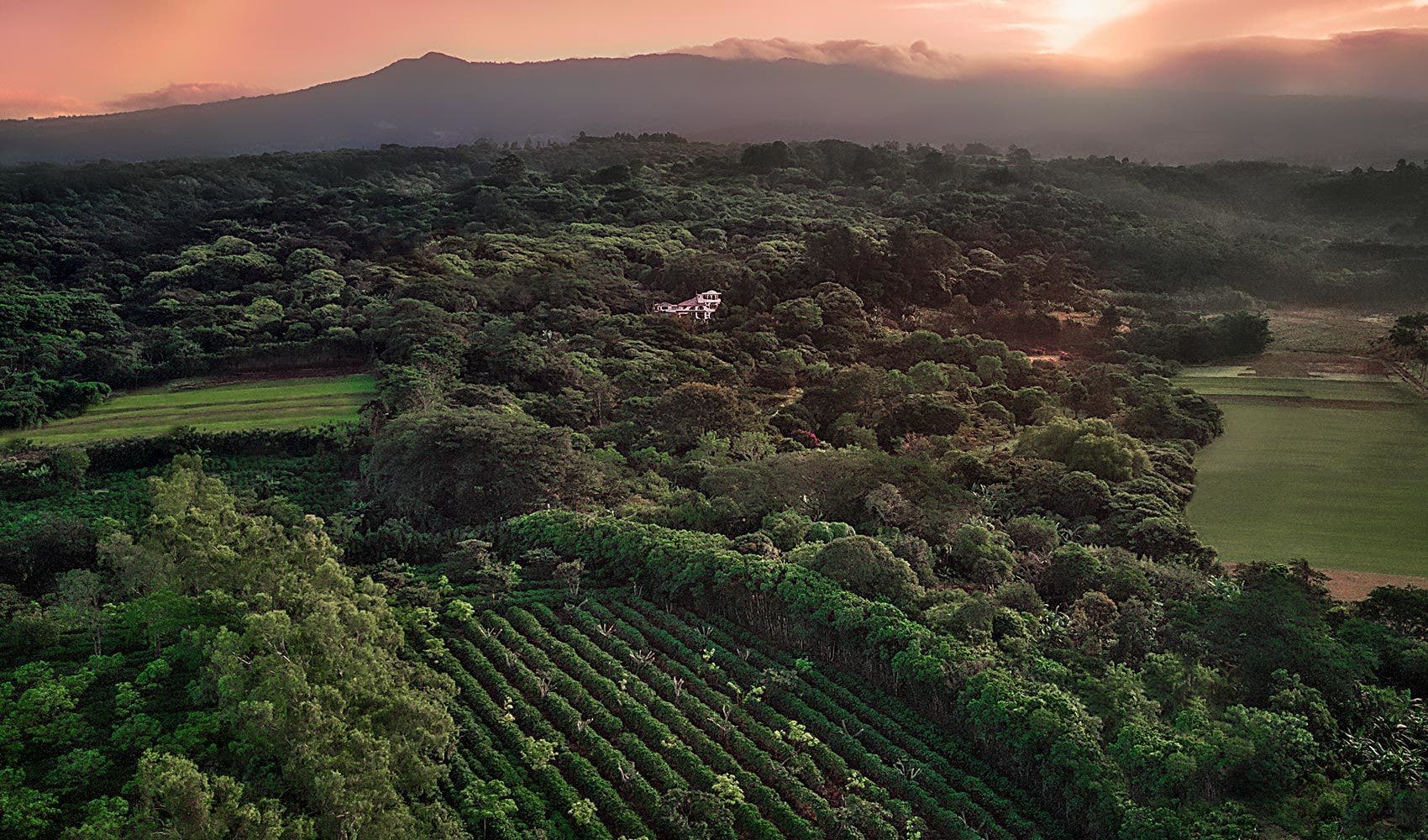Finca Rosa Blanca Coffee Farm and Inn — photo 2 of 19
