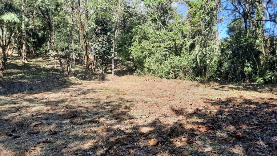 Property photo for Jungle Lot 5 Minutes From The Beach, Santa Teresa, Cobano, Puntarenas, Puntarenas, Costa Rica