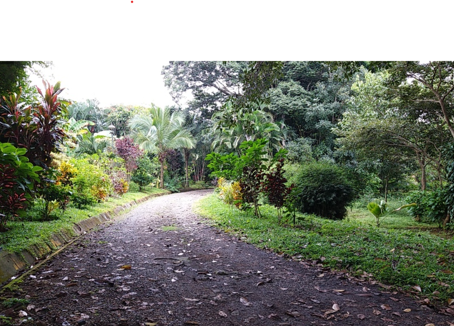 Property photo for Vista Del Valle Rosario Naranjo Vista Del Valle Rosario Naranjo, Coyol, Alajuela, Rosario, Naranjo, Alajuela, Costa Rica