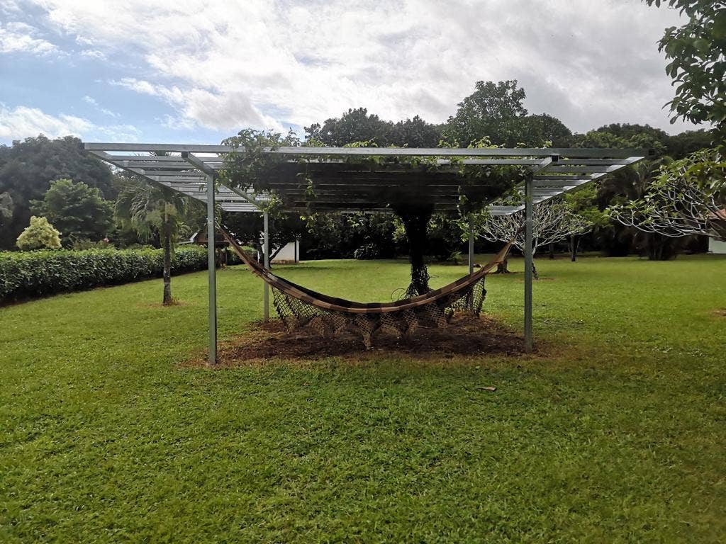Orotina Mango Tree Paradise Estate , #4 — photo 18 of 19