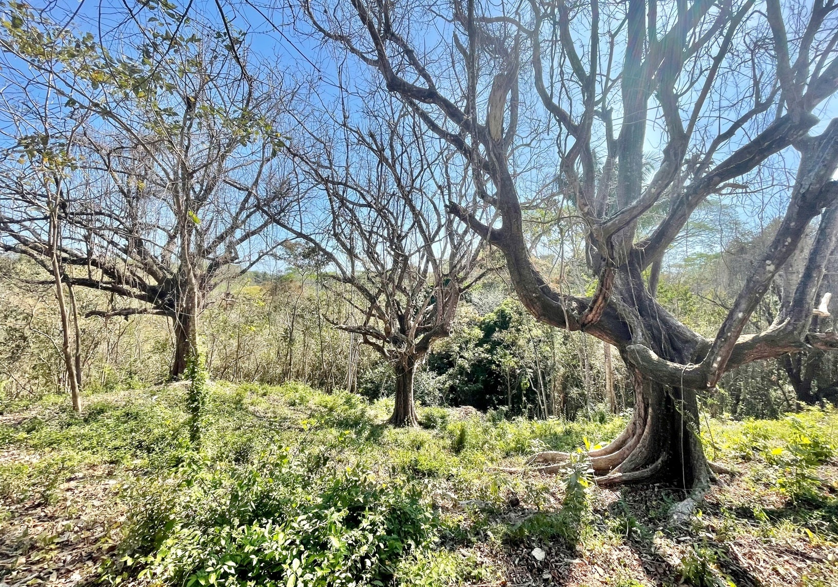 Large Santaigo Lot with Registered Well , Santiago, Santiago, Santa Teresa, Cobano, Puntarenas, Puntarenas, Costa Rica 60111