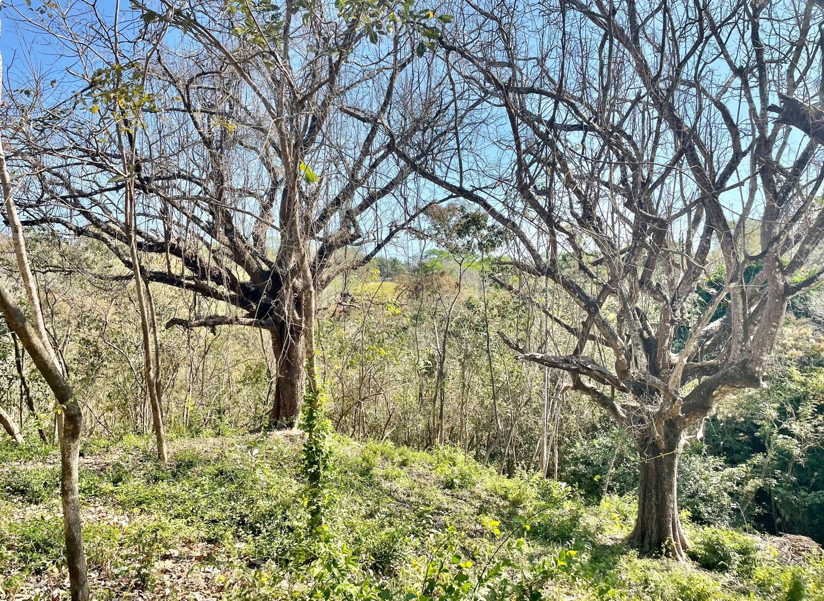 Large Santaigo Lot with Registered Well , Santiago, Santiago, Santa Teresa, Cobano, Puntarenas, Puntarenas, Costa Rica 60111