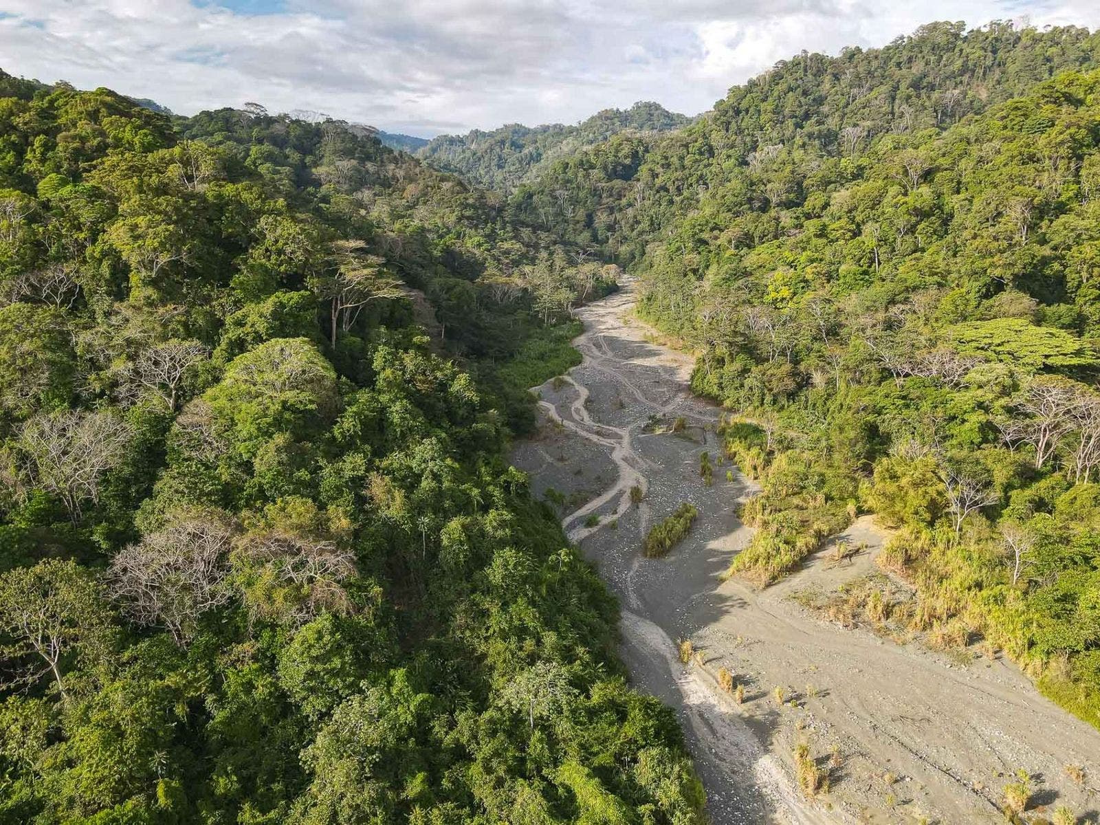 113 Hectare Carate Rainforest Estate in the Osa Peninsula — photo 7 of 19