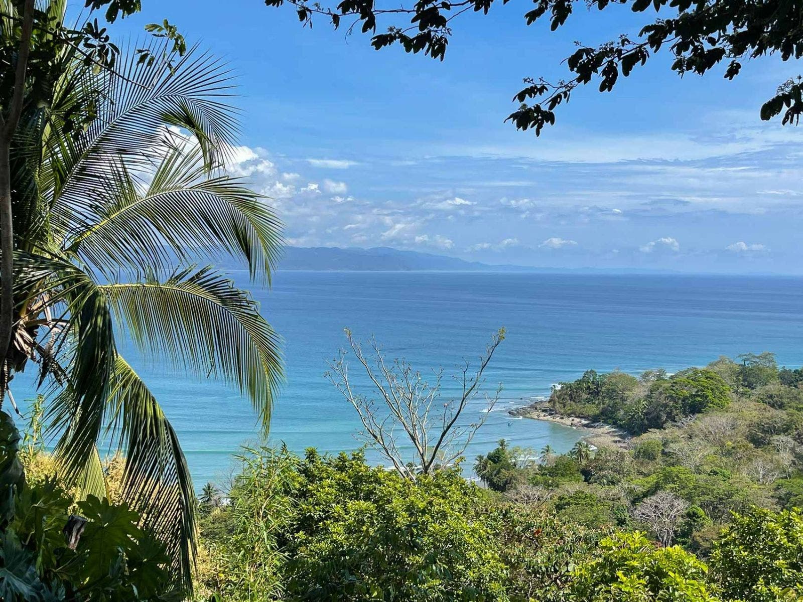 113 Hectare Carate Rainforest Estate in the Osa Peninsula — photo 14 of 19