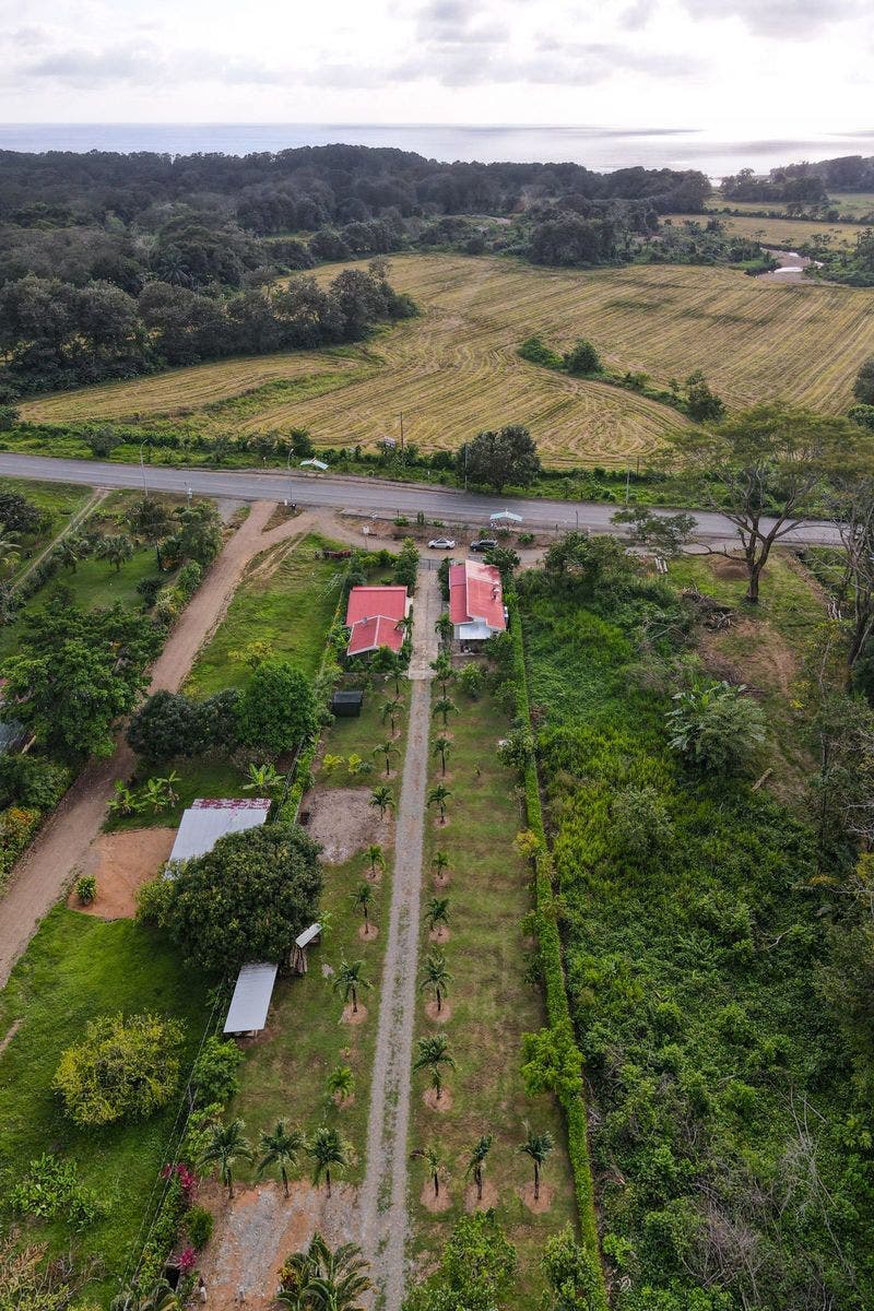 Commercial Opportunity with Restaurant, Home and Building Space in Hatillo — photo 5 of 19