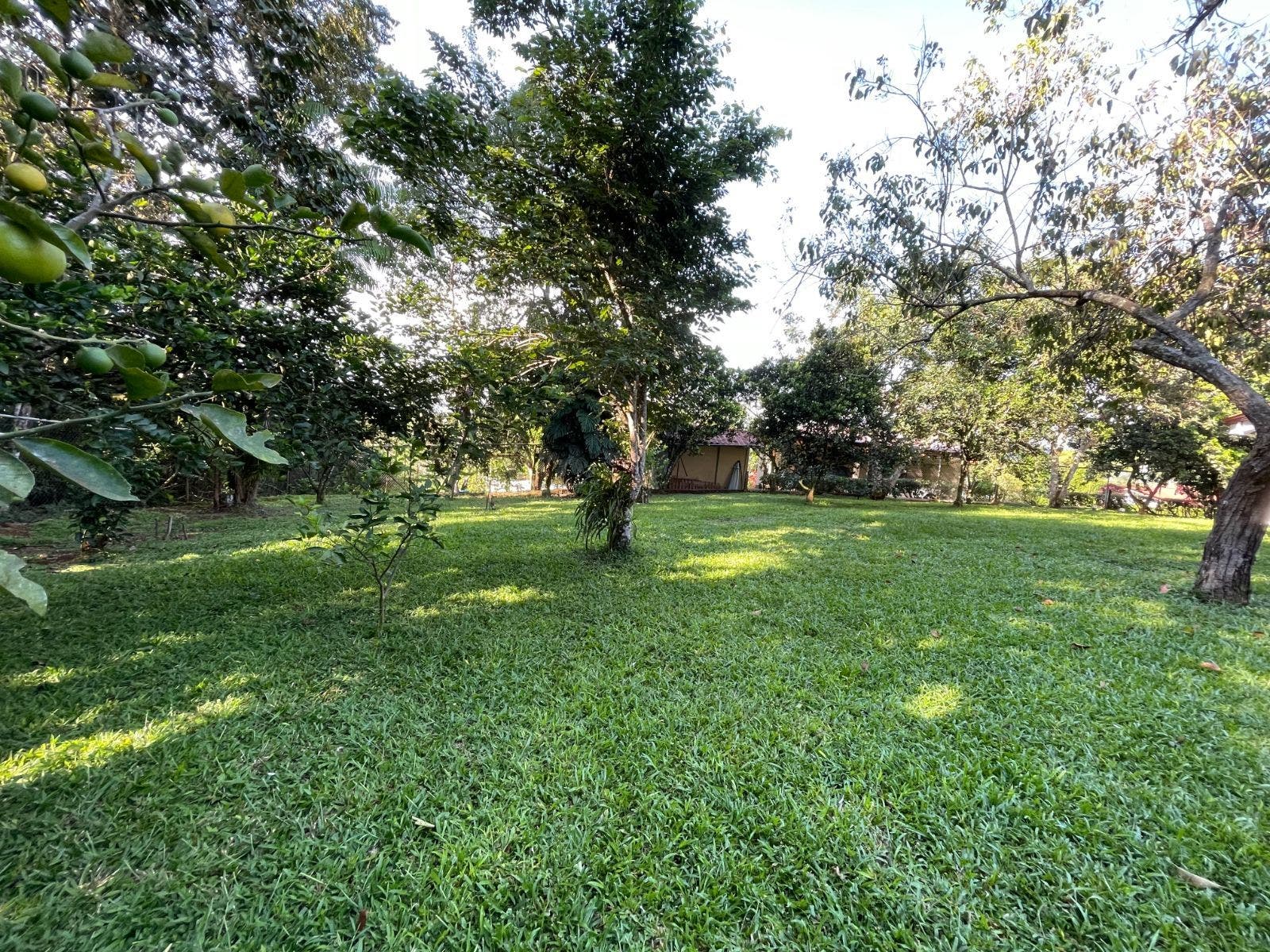 Unique 3 Bedroom Home near Center of Perez Zeledon — photo 4 of 11