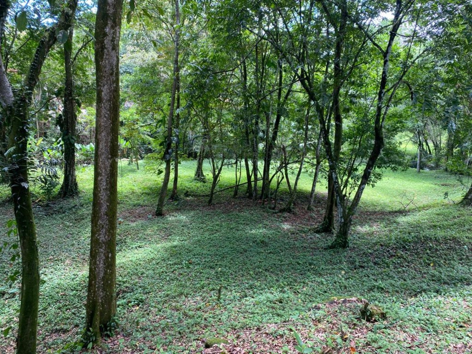 3.2 Acres of Commercial Property Highway Front — photo 2 of 11