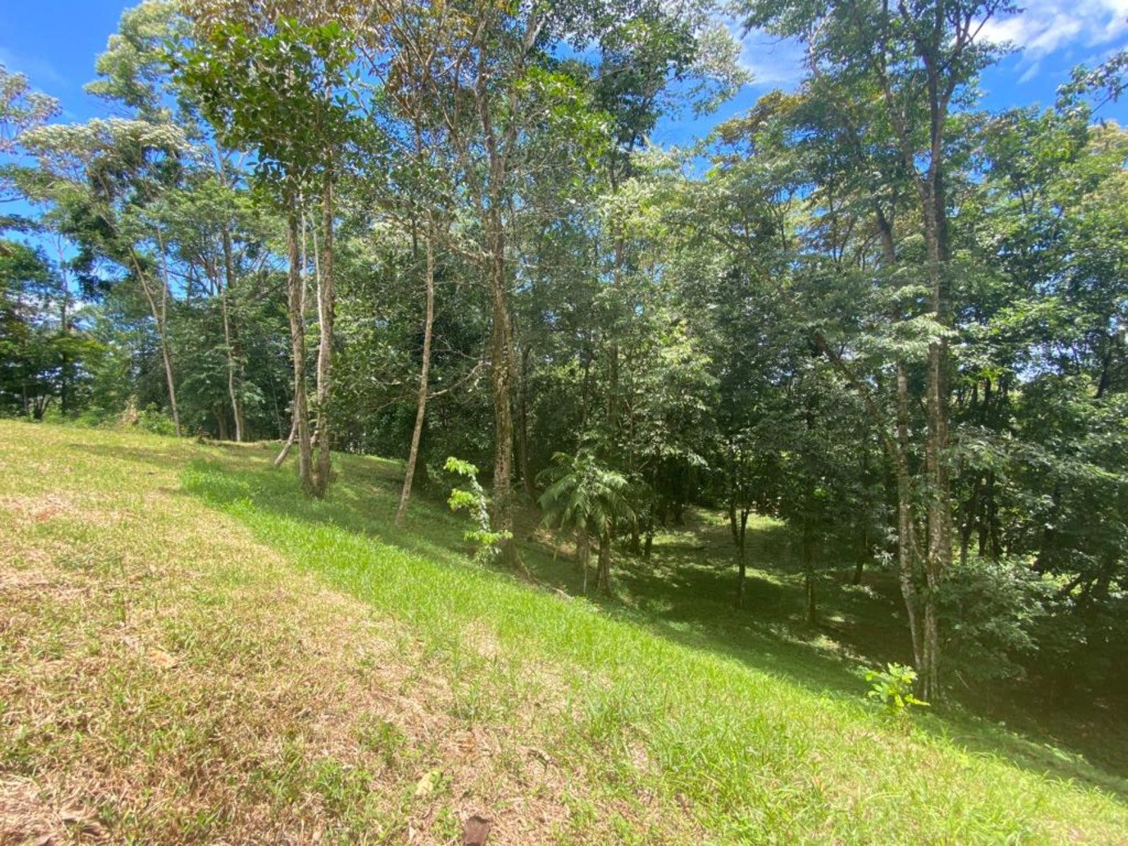 3.2 Acres of Commercial Property Highway Front, Uvita, Dominical, Puntarenas , Puntarenas, Costa Rica 60504