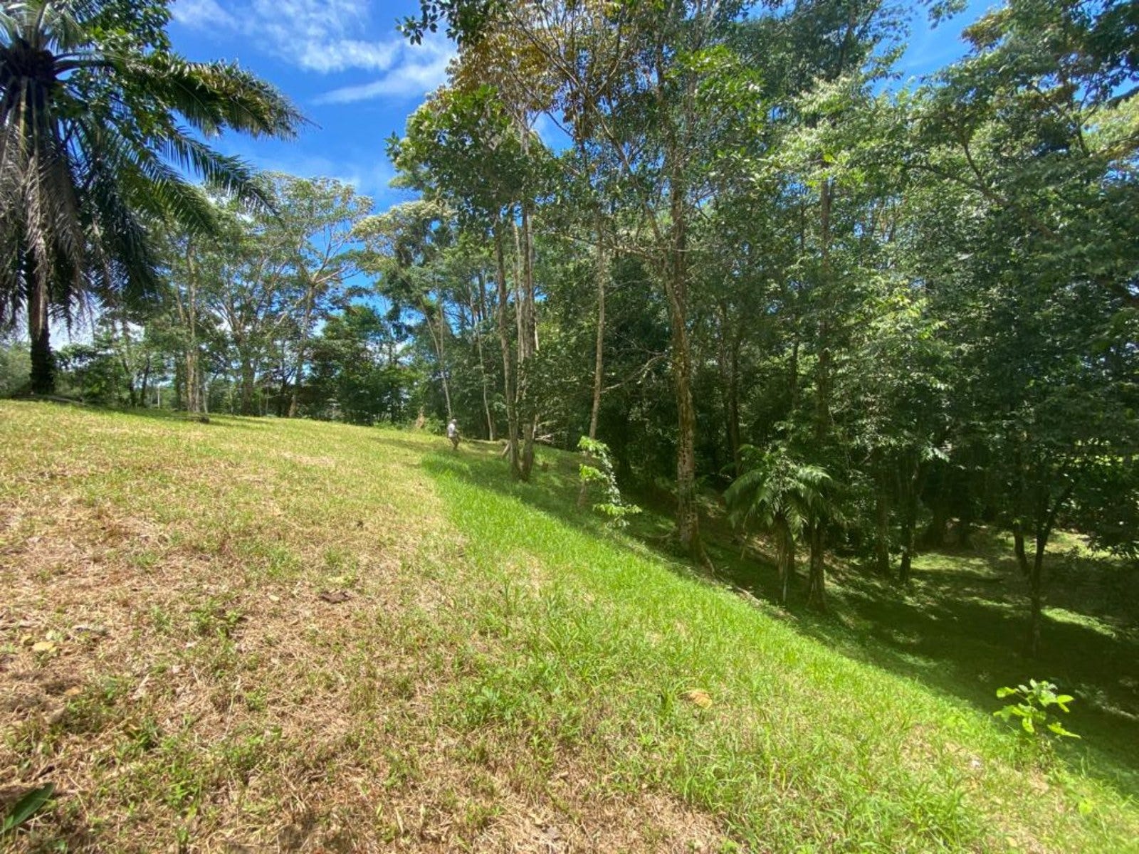 3.2 Acres of Commercial Property Highway Front — photo 5 of 11