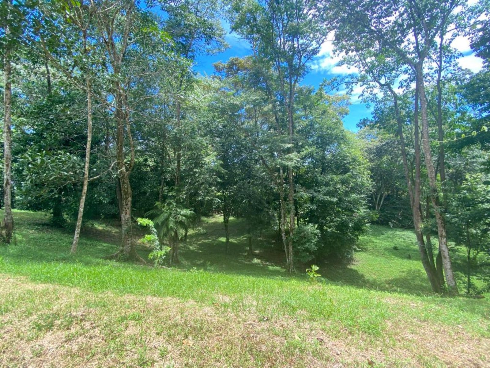 3.2 Acres of Commercial Property Highway Front — photo 3 of 11