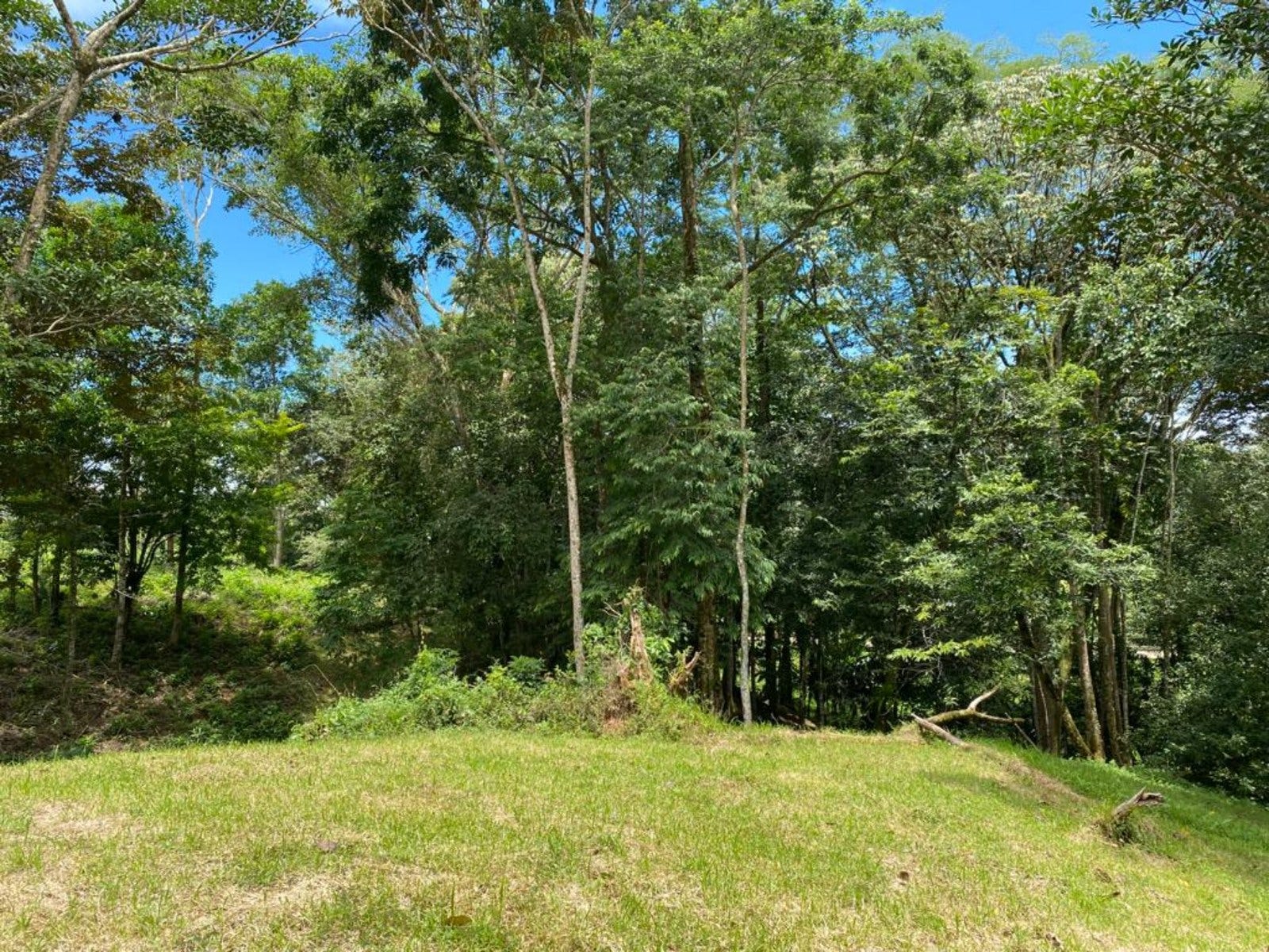 3.2 Acres of Commercial Property Highway Front — photo 6 of 11