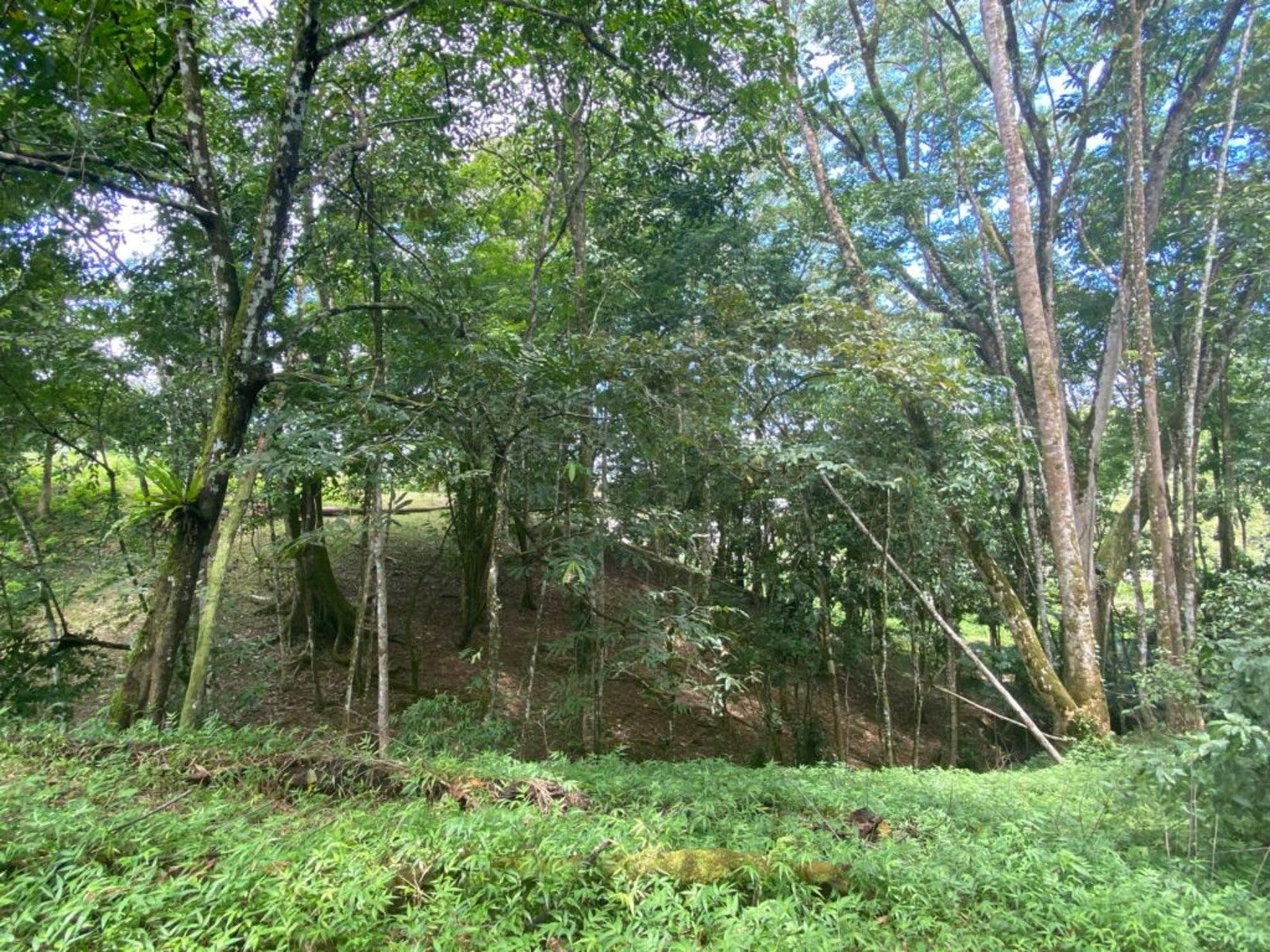 3.2 Acres of Commercial Property Highway Front — photo 7 of 11