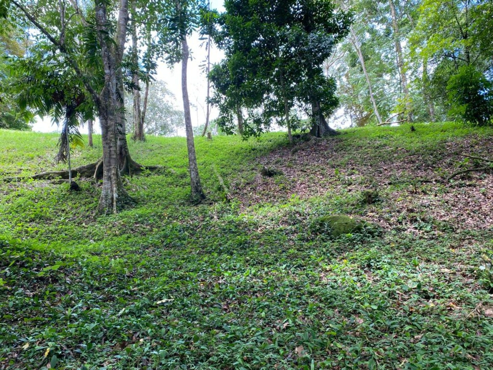 3.2 Acres of Commercial Property Highway Front — photo 9 of 11