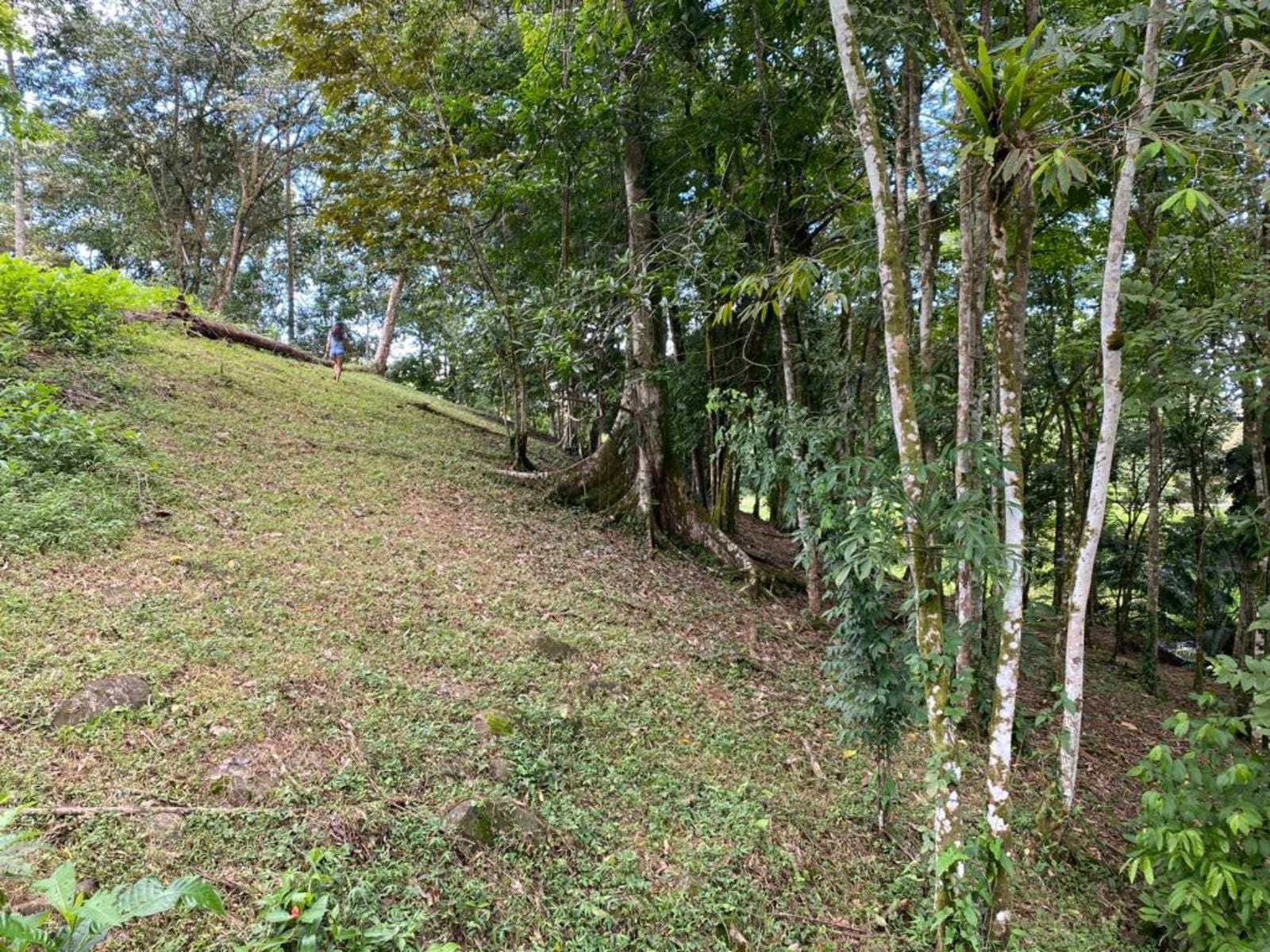 3.2 Acres of Commercial Property Highway Front — photo 10 of 11