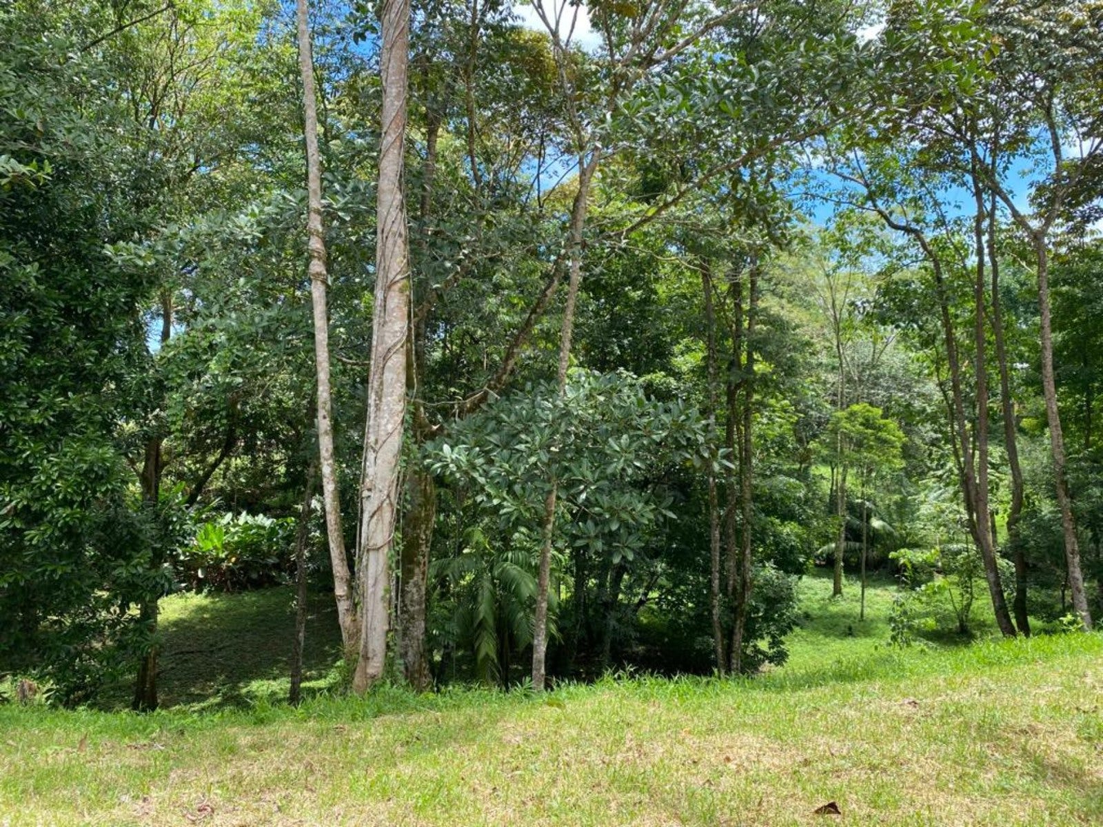 3.2 Acres of Commercial Property Highway Front — photo 8 of 11