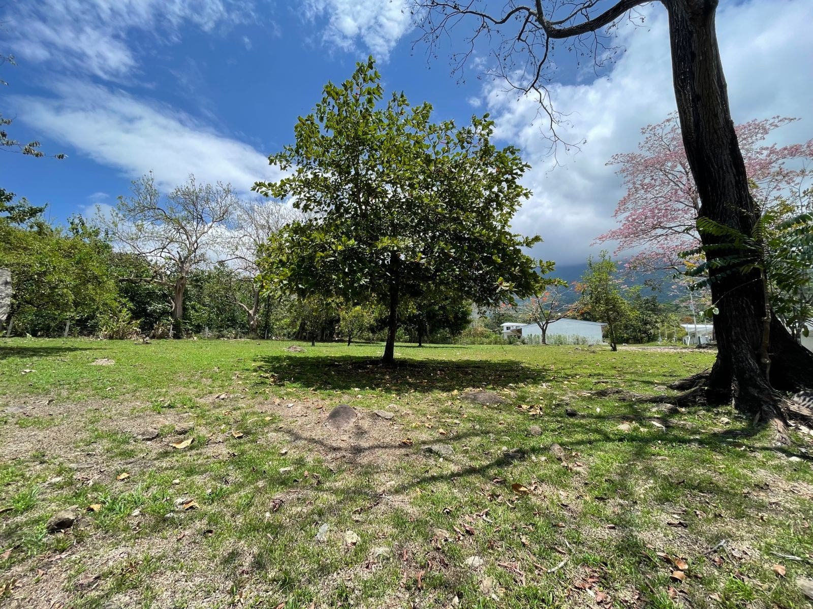 3000m Lot on Public Road in Ojochal, Ojochal, Bahia Ballena, Osa, Puntarenas, Costa Rica 60501