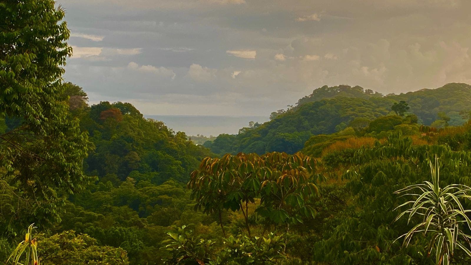 Nearly 200 Acres of Prime Ocean Views — photo 13 of 19
